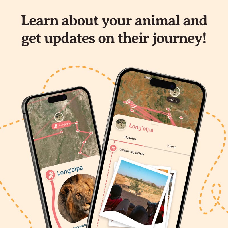 Fahlo Lion Tracking Bracelet â€“ Track a Real Lionâ€™s Journey â€“ Supports Wildlife Conservation â€“ Elastic, One Size Fits Most â€“ on Interactive Mobile App Map â€“ Unisex Conservation Gift (Kenya Orchid Pink) - Image 5