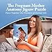 Genius Games Pregnant Mother Anatomy Jigsaw Puzzle 488Piece Science Accurate Adult Puzzle Educational and Entertaining 3ft x 2ft Poster Size Puzzle Ideal Gift for Mothers Educators Medical Professionals - Image 4