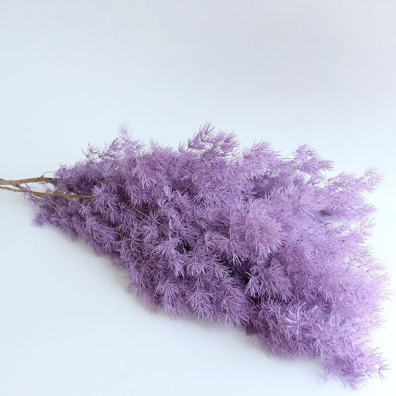 Bluejw Dried Asparagus Fern Bouquet - Natural Preserved Flowers, Ming Fern & Pine DIY Floral Arrangement Material for Home Decor & Crafts - Image 4