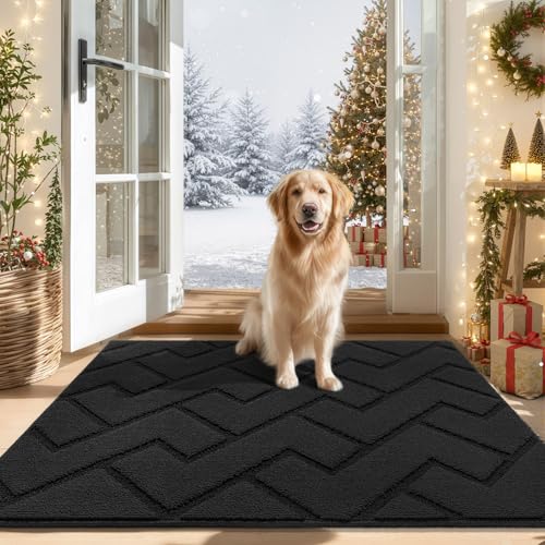 hicorfe Indoor Door MatNon Slip Door Mats32x48 Front Back Door Mat Rubber BackingAbsorbent Resist Dirt Entrance Inside Floor Mats for Entryway Washable LowProfileCharcoal