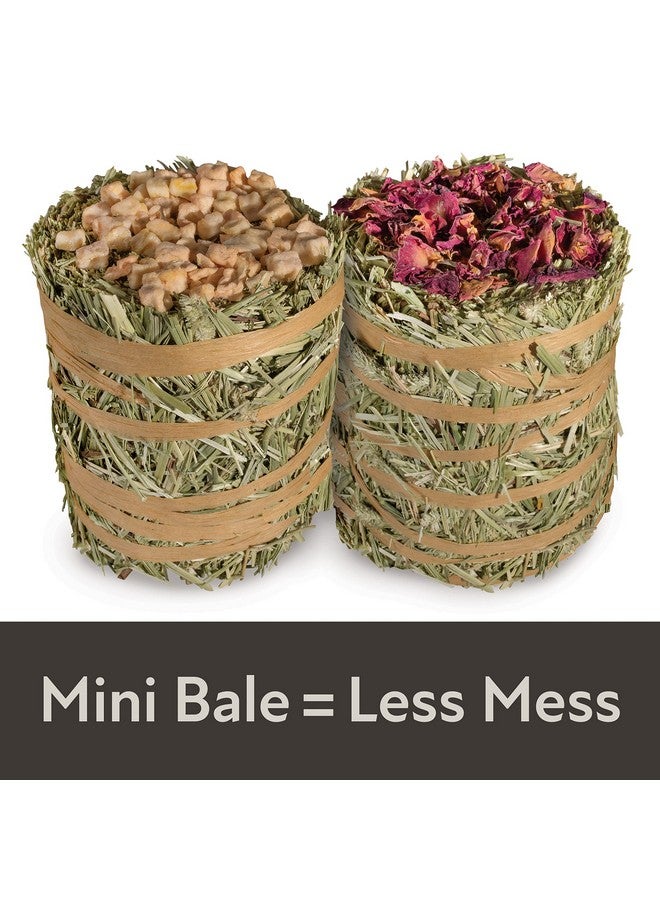 كايتي بالات قش صغيرة من Kaytee Field+Forest بنكهة التفاح والورد، عبوة من قطعتين، 7 أونصات - Image 4