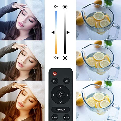 MOUNTDOG 【Upgrade LED】 MOUNTDOG Softbox Lighting Kit, Photography Studio Light with 19.7"X27.5" Reflector and 3 Colors Temperature 45W Bulb with Remote, Professional Photo Studio Equipment for Portrait Video - Image 2