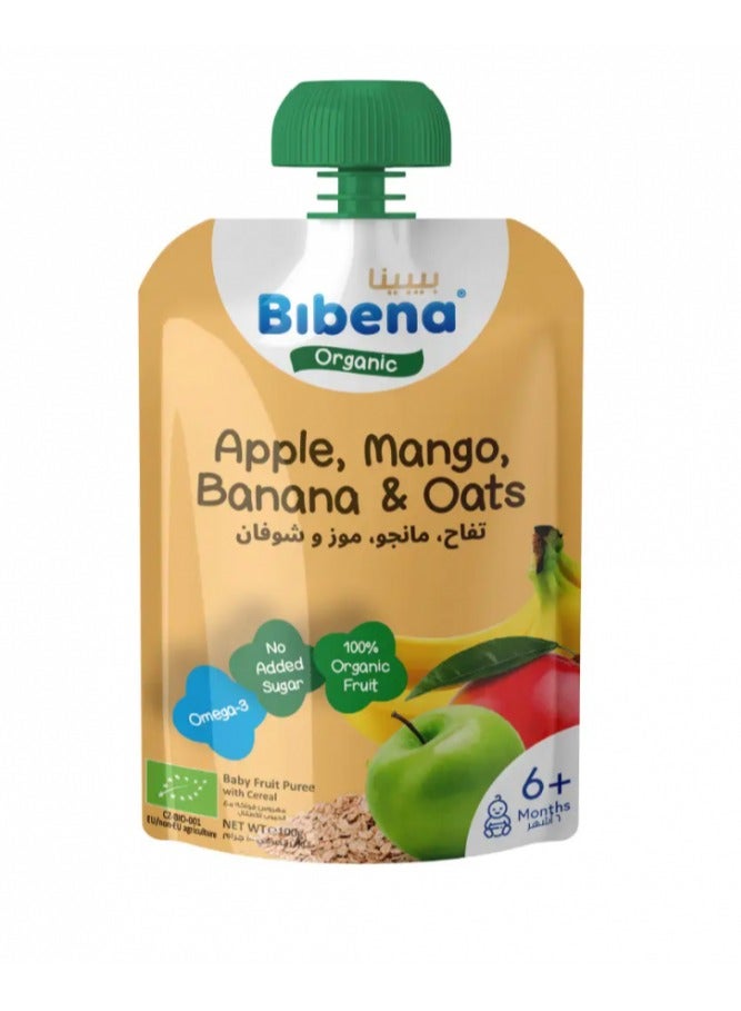 Apple, mango, banana and oat puree 100g