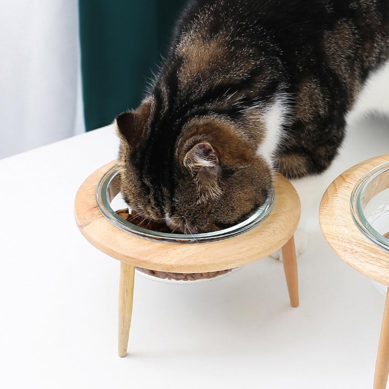 Raised Pet Bowl with Wooden Stand 17 8Cm 800Ml Glass Food Water Dish for Cats Dogs - Image 4