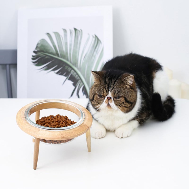 Raised Pet Bowl with Wooden Stand 17 8Cm 800Ml Glass Food Water Dish for Cats Dogs - Image 5
