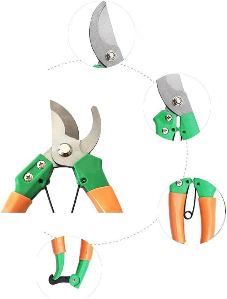 Pruner Pruning Shear Garden Scissors Grafting Shears Tool Fruit Tree Pruning Shears Bonsai Pruners Gardening Secateurs Easy Pruners for Garden Pruning - Image 4