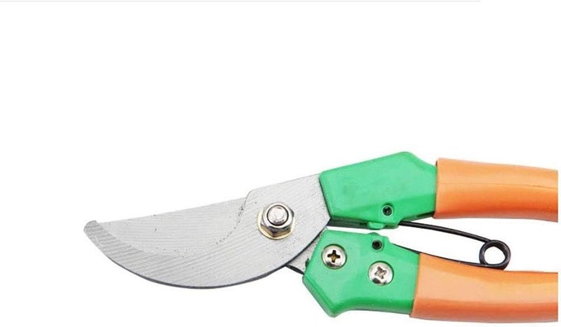 Pruner Pruning Shear Garden Scissors Grafting Shears Tool Fruit Tree Pruning Shears Bonsai Pruners Gardening Secateurs Easy Pruners for Garden Pruning - Image 2