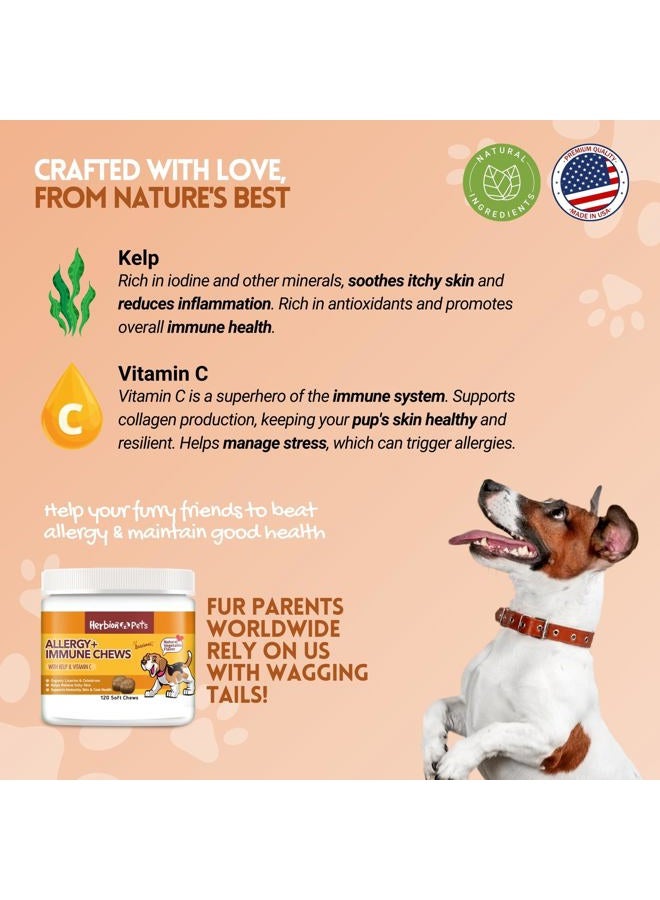 Herbion Pets Allergy + Immune Chews with Kelp & Vitamin C, 120 Soft Chews, Supports Immunity, Skin & Coat Health, Relieves Itchy Skin, Made in USA, Natural Vegetable Flavor, for Dogs 12 Weeks+, Pack 1 - Image 2