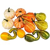 JEDFORE JEDFORE 12Pcs Lifelike Simulation Realistic Mixture of Artificial Pumpkins Fake Vegetable Fruit for Home Decoration  - Image 1