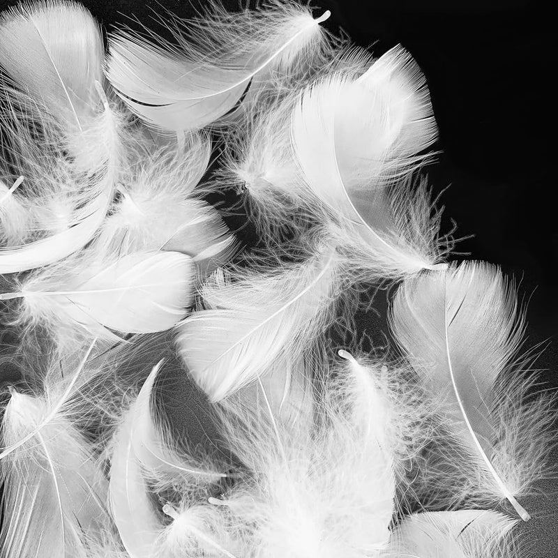 Flying feathers White 600pcs Colorful Feathers 20 Colors Craft Feathers 3-5 Inches Assorted Rainbow Colors Feathers for Kids Handmade Wedding DIY Decorations Natural Feather - Image 1