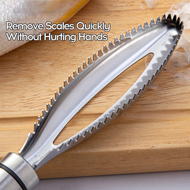 Superior 430 Stainless Steel Domestic Kitchen Tools Manual Washable Anti-Rust Scale Scraper - Image 5