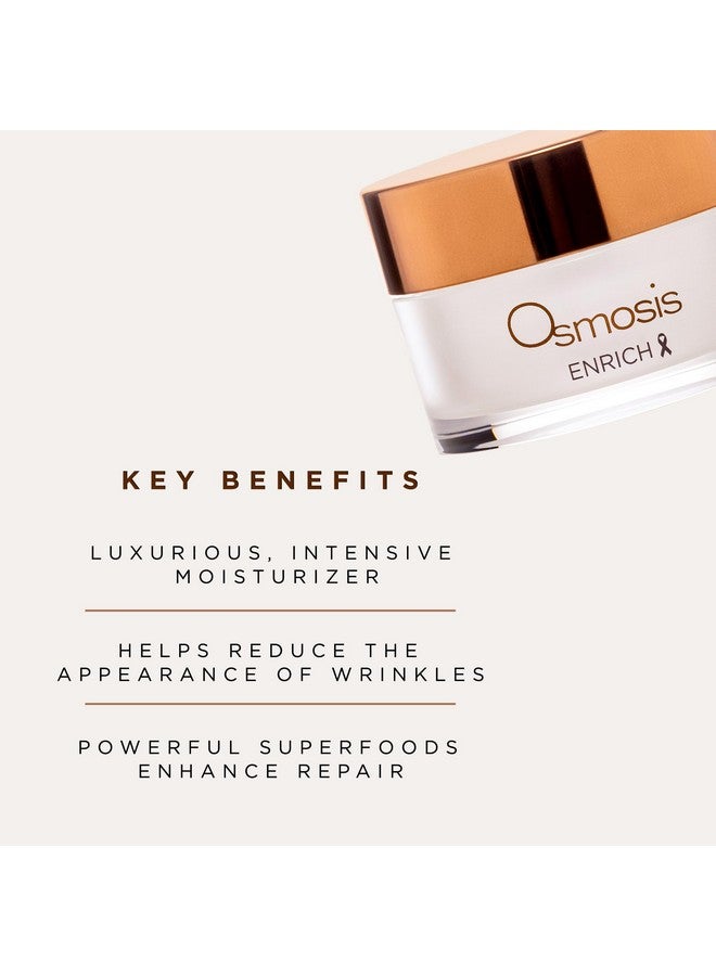 OSMOSIS ENRICH Smoothing Face & Neck Intensive Night Repair Cream Moisturizer with Chirata and Fruit Oils, 1 Oz - Image 3