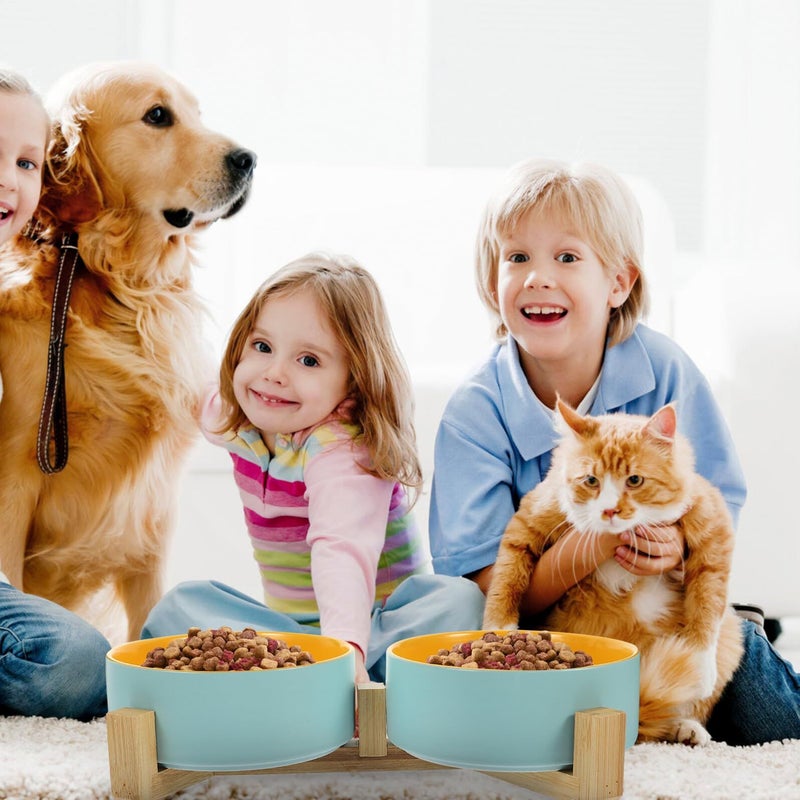Raised Ceramic Cat Bowls Double Pet Food And Water Bowls With Anti Slip Wood Stand Small Size Matte Cream For Indoor Cats Kittens - Image 5
