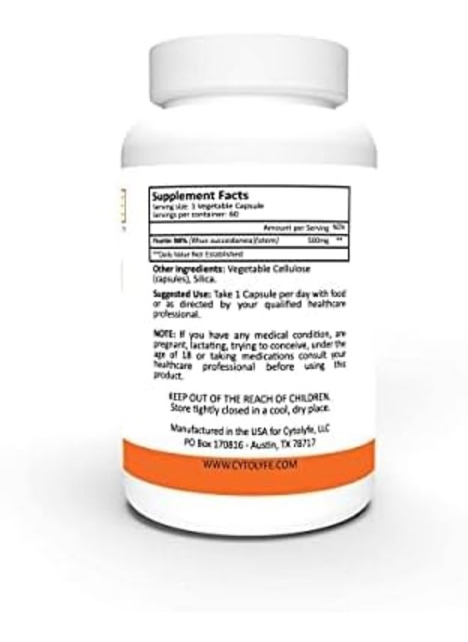 CYTOLYFE Fisetin 500Mg Senescent Cell Removal 98% Pure Fisetin 500Mg Therapeutic Dose 60 Capsules Senolytic Activator Anti-Aging Life Extension  - Image 4