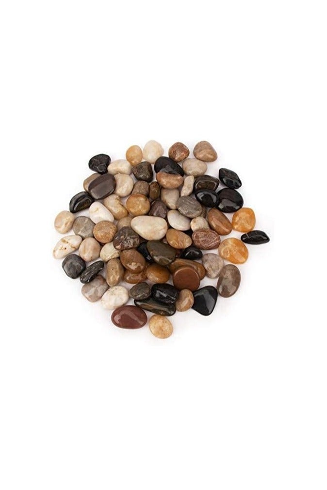 صخور نهرية 15 باوند (6.8 كجم) صخور نباتية 1-1 1/2 انش للاواني الداخلية صخور حديقة مزخرفة للمناظر الطبيعية الخارجية حجر طبيعي مصقول للممرات والفناء والمزهريات والحرف اليدوية - Image 2