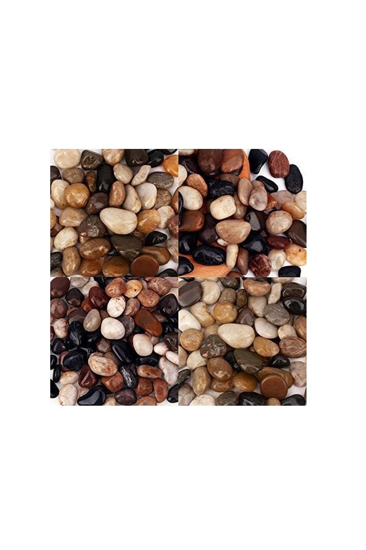 صخور نهرية 15 باوند (6.8 كجم) صخور نباتية 1-1 1/2 انش للاواني الداخلية صخور حديقة مزخرفة للمناظر الطبيعية الخارجية حجر طبيعي مصقول للممرات والفناء والمزهريات والحرف اليدوية - Image 3