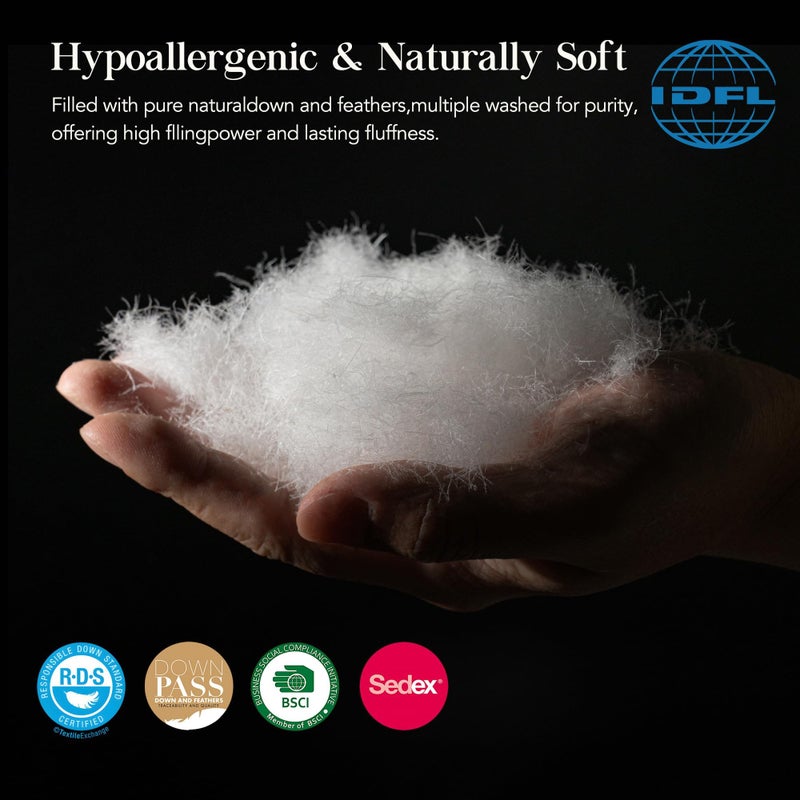 HYVIF Feather Down Fiber Comforter Queen Size,Premium Ultra-Soft Breathable Comforter High Fill Power White Duvet Insert,All Season Hotel Luxury Bedding Comforters 8 Corner & Center Loops,Baffle Box Design - Image 2