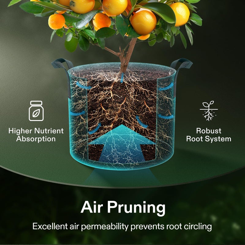 VIVOSUN 5-Pack 15 Gallon Grow Bags, 500G Thick Nonwoven Fabric Pots with Strap Handles, Multi-Purpose Rings, for Low Stress Plant Training Fruits, Vegetables, and Flowers - Image 5