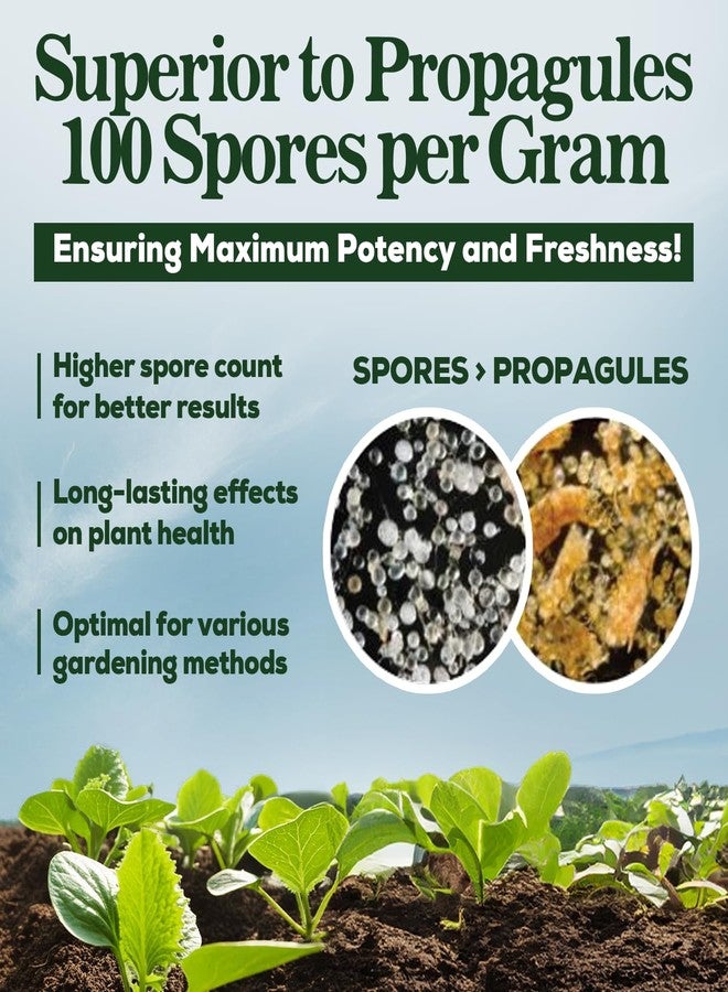 Smart Grower Mycorrhizal Fungi Organic Root Enhancer for Plants, Super Potent 100 Spores Per Gram, 5-Strain Blend, Rapid Results for Gardens, Houseplants, Lawns, Mycorrhizae Smart Grower 125 Grams for 125 Plants - Image 5