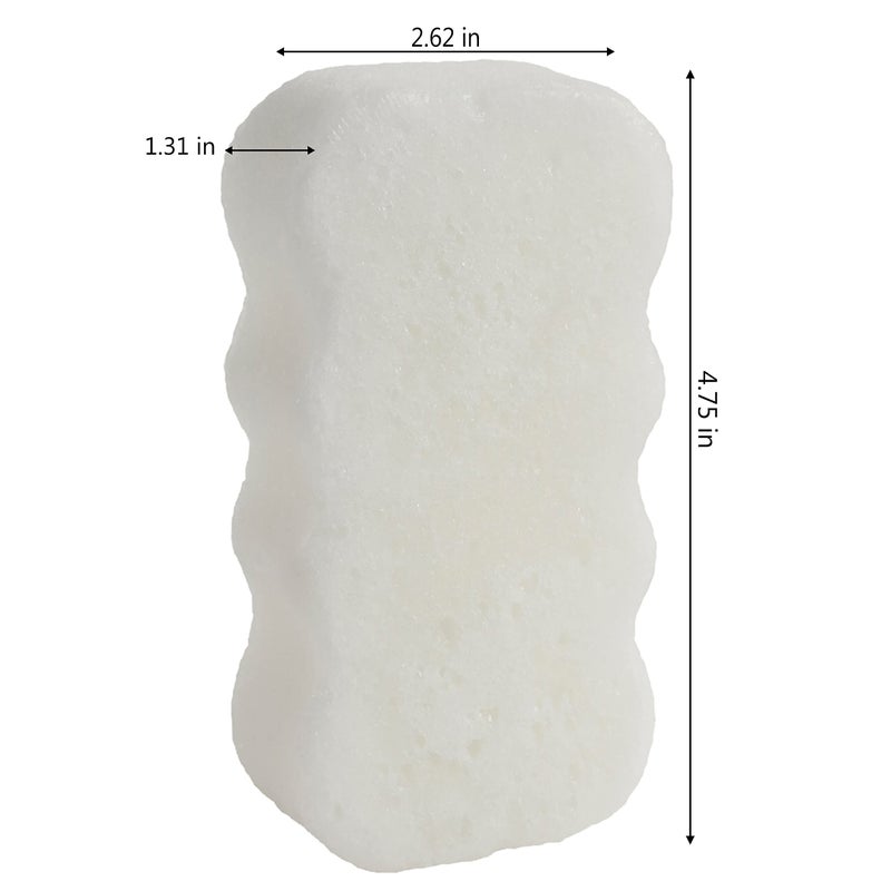 Spongeables Skinutrients Anti-Cellulite Body Wash in a Sponge, Spa Cellulite Massager, Reduce The Appearance Of Cellulite, Moisturizer and Exfoliator, Colada Coconut, 1 Count - Image 2