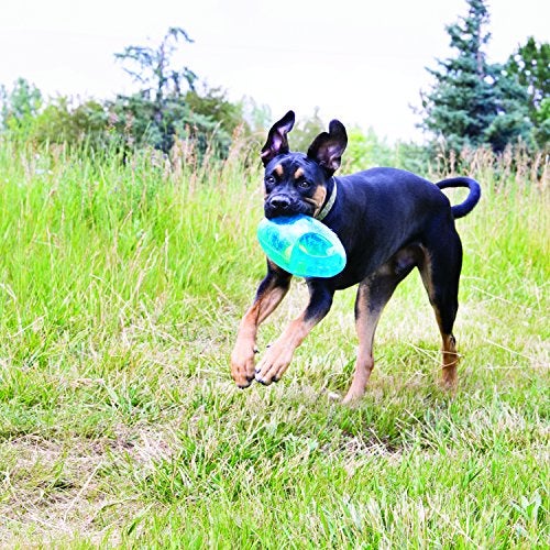 KONG Jumbler Football - Interactive Dog Toy for Dog & Puppy Playtime - Fetch Toy with Tennis Ball - Dog Supplies for Engaging Play (Large/Extra Large) - Image 2
