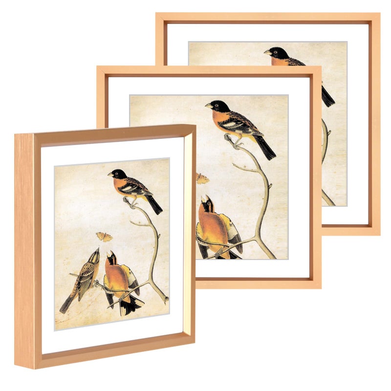 BKABOT 6x6 Picture Frame  Gold Metal Photo Frames with HD Glass  Fits 5x5 with Mat or 6 x 6 without Mat  Display for Wall and Table  3 Pack - Image 1