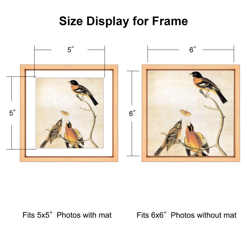 BKABOT 6x6 Picture Frame  Gold Metal Photo Frames with HD Glass  Fits 5x5 with Mat or 6 x 6 without Mat  Display for Wall and Table  3 Pack - Image 2