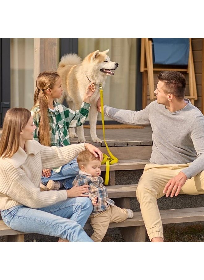 Viper Biothane K9 Working Dog Leash Waterproof Lead for Tracking Training Schutzhund Odor-Proof Long Line with Solid Brass Snap for Puppy Medium and Large Dogs 6ft, Lemon Yellow  - Image 3