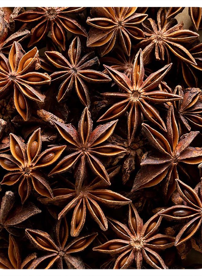 Organic Whole Star Anise Select 16 oz (453 g)