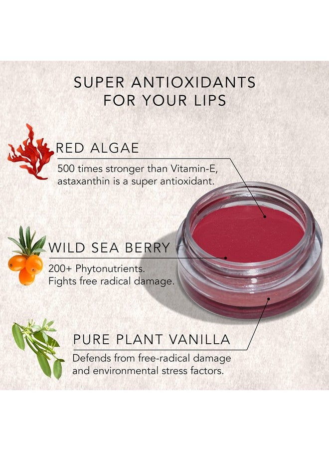 DAUGHTER EARTH - Vegan Lip And Cheek Tint | Matte Natural Blush For Women | Lip Tint With Vitamin E | Nourishing Cheek Tint, 4.5G - Rouge Rose - Image 1
