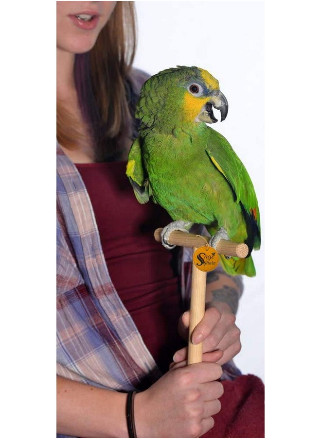Hand Held Tame Stand For Handling Birds And Trainning, Natural Wood And Safe For Birds