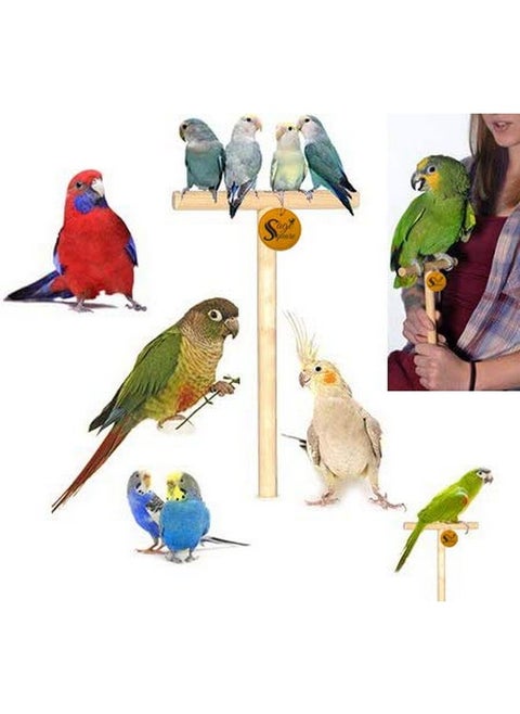 Hand Held Tame Stand For Handling Birds And Trainning, Natural Wood And Safe For Birds