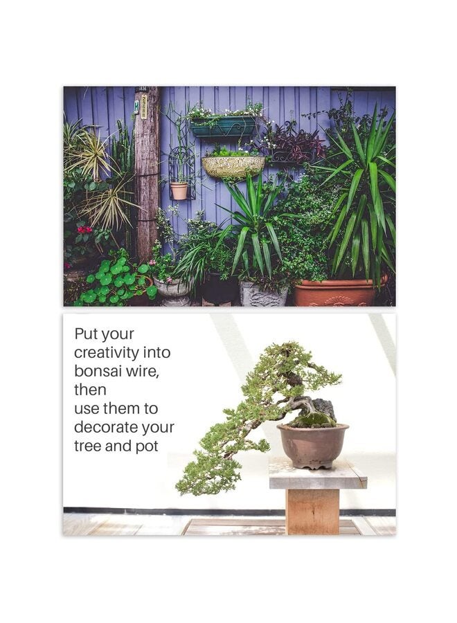 يُسلِّم 5 قطع + مقص، سلك بونساي ومجموعة أدوات بونساي، سلك شجرة بونساي بطول إجمالي لأشجار بونساي في الأماكن المغلقة، مقاس 1 مم، 1.5 مم، 2 مم، 3 مم، 4 مم، سلك ألومنيوم - Image 5