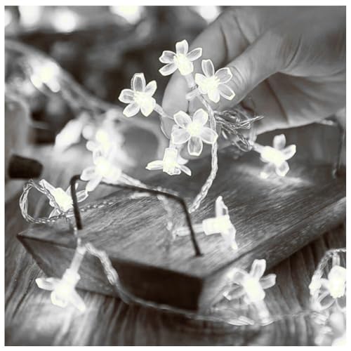 KHIZAR LED String Lights for Decoration, Fairy Curtain & Hanging Lights for Bedroom, Ramadan, Eid, Festival & Home Wall Decor (White Flower) - Image 5