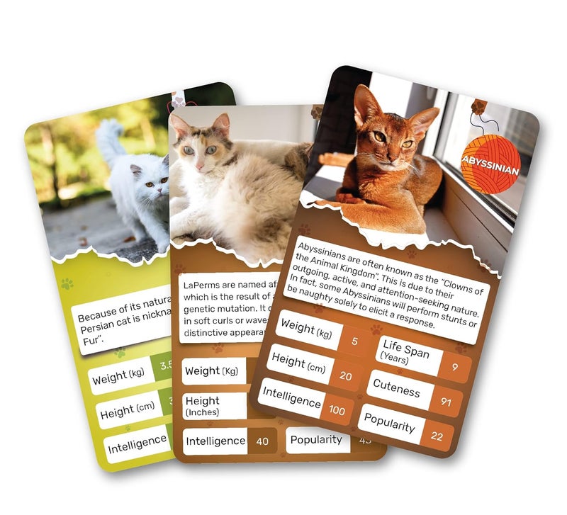Kaizen MicroLessons Card Game Kid Smart Cards. (Trumps: Cats) - Image 5
