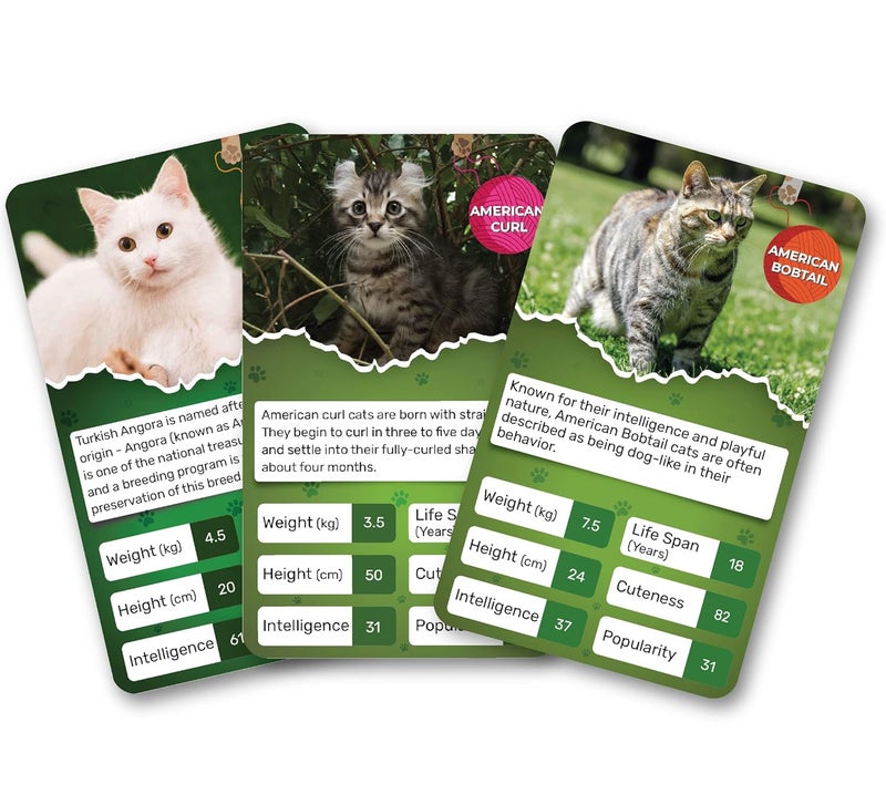 Kaizen MicroLessons Card Game Kid Smart Cards. (Trumps: Cats) - Image 4