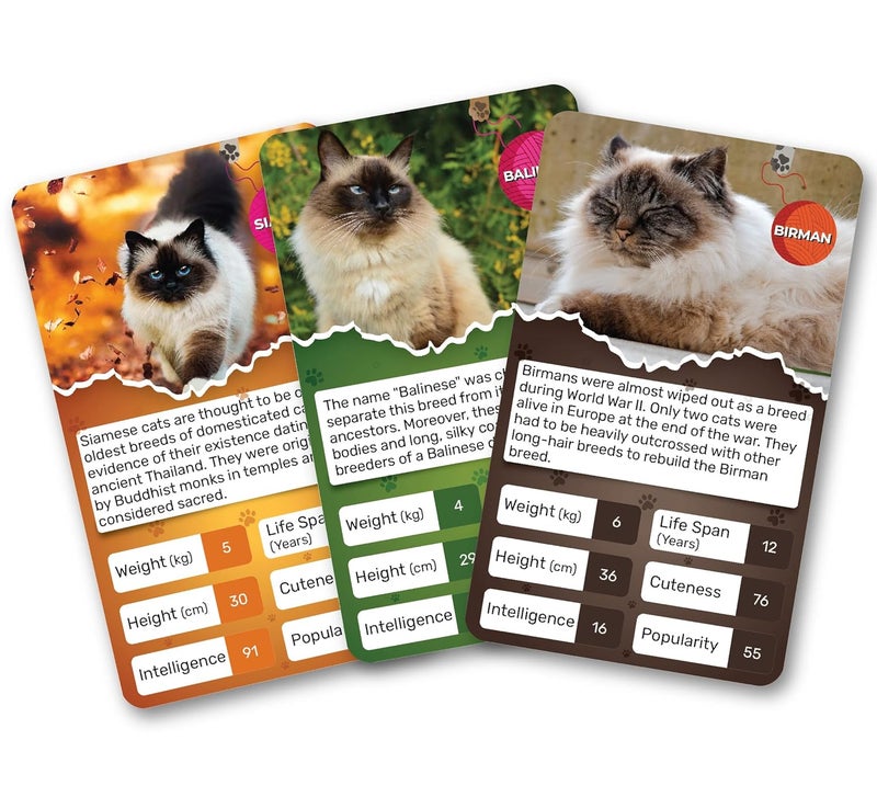 Kaizen MicroLessons Card Game Kid Smart Cards. (Trumps: Cats) - Image 3