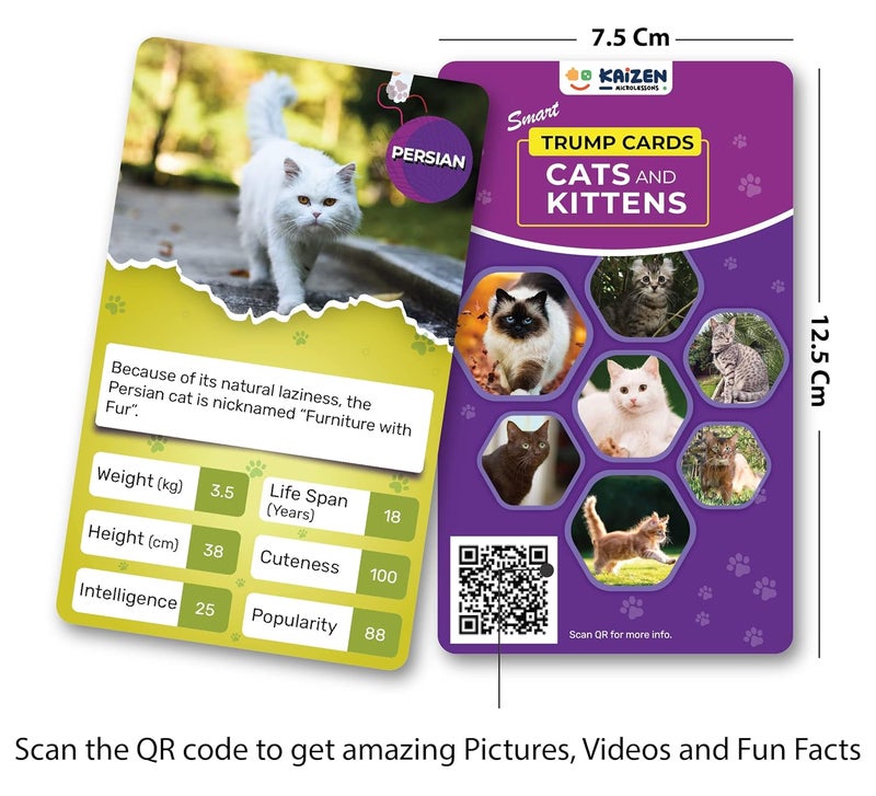 Kaizen MicroLessons Card Game Kid Smart Cards. (Trumps: Cats) - Image 2