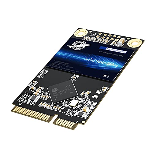THREE COLOUR DOGFISH Dogfish mSATA SSD 256GB 3D NAND TLC SATA III 6 Gb/s, mSATA (30x50.9mm) Internal Solid State Drive - Compatible with Desktop PC Laptop - (MSATA 256GB) - Image 1