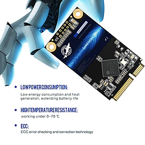 THREE COLOUR DOGFISH Dogfish mSATA SSD 256GB 3D NAND TLC SATA III 6 Gb/s, mSATA (30x50.9mm) Internal Solid State Drive - Compatible with Desktop PC Laptop - (MSATA 256GB) - Image 3