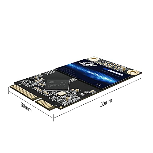 THREE COLOUR DOGFISH Dogfish mSATA SSD 256GB 3D NAND TLC SATA III 6 Gb/s, mSATA (30x50.9mm) Internal Solid State Drive - Compatible with Desktop PC Laptop - (MSATA 256GB) - Image 2