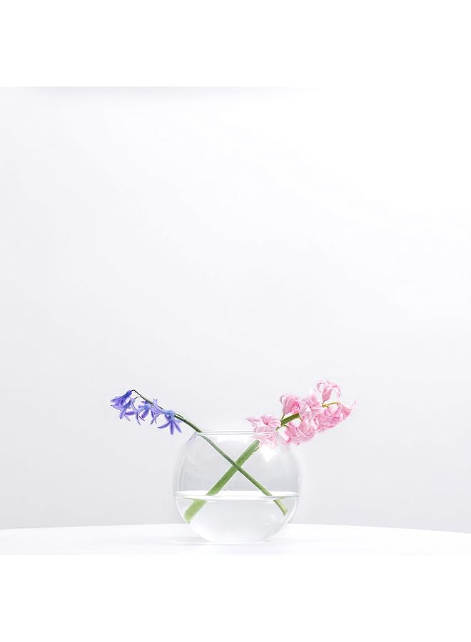 erorex Bowl Glass Vase Diameter 6 Inch Height 4.5 Inch Open Width 4 Inch Multiple Sizes Choices Clear Bubble Planter Terrarium Fish Bowl For Wedding Event Home Decor 1 Piece Vbw0006A - Image 4