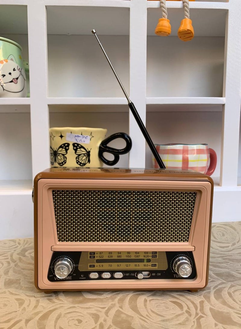 Bluetooth wireless audio radio