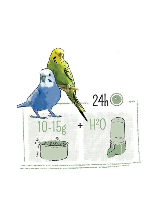 ويت مولين بور بادجي [الوزن - 2 كجم - Image 2