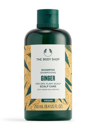 Ginger Anti Dandruff Shampoo 250ml - pzsku/Z9E27347DD022AC1651E5Z/45/_/1737285702/062db6a8-f009-4131-ae7d-3dd11271c523