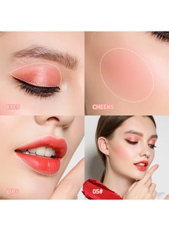 3 IN 1 Lip Mud Velvet Lip Tint Lip Gloss Multi-use Lip and Cheek Tint Liquid Blush and Paint Tint for Lips, Cheeks & Eyelids Pink Eyeshadow - pzsku/Z9E27499A1F70333C77F9Z/45/_/1730775996/1c60f5c5-ec3e-4816-8a4b-c3dc625af353