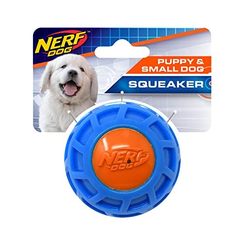 NERF DOG 25in TPR EXO Squeak Ball BlueOrange - Image 1