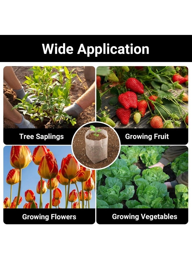 ShebSheb 100pcs 6.3 x 5.7 in Non Woven Fabric Nursery Grow Pouches, Biodegradable Seed Nursery Bags for High Seedling Survival Rate, for Planting, Gardening Transplanted Home Gardening Supply - Image 5