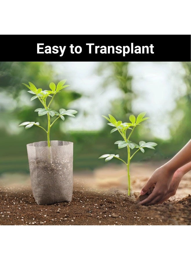 ShebSheb 100pcs 6.3 x 5.7 in Non Woven Fabric Nursery Grow Pouches, Biodegradable Seed Nursery Bags for High Seedling Survival Rate, for Planting, Gardening Transplanted Home Gardening Supply - Image 4