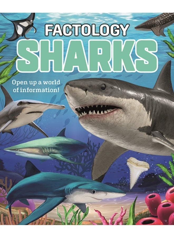 Factology: Sharks : Open Up a World of Information! 